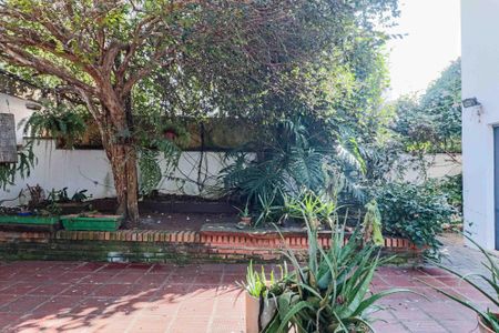 Casa para alugar com 400m², 3 quartos e 4 vagasQuintal