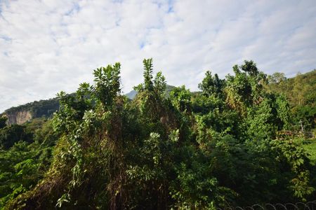 Apartamento à venda com 41m², 2 quartos e 1 vaga Apartamento à venda com 41m², 2 quartos e 1 vagaVista Quarto 1