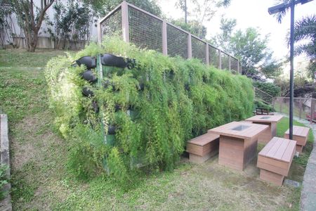 Apartamento para alugar com 63m², 3 quartos e 1 vaga Apartamento para alugar com 63m², 3 quartos e 1 vagaÁrea comum - Área verde