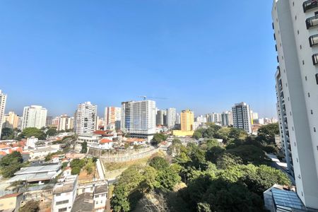 Apartamento à venda com 217m², 4 quartos e 2 vagasVista da Varanda da Sala