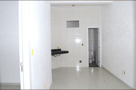 Sala/Cozinha de apartamento para alugar com 1 quarto, 31m² em Ouro Minas, Belo Horizonte