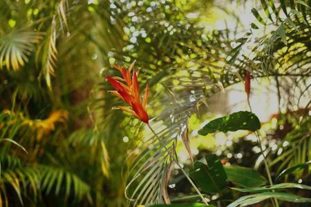Casa à venda com 7 quartos, 307m² em Laranjeiras, Rio de Janeiro