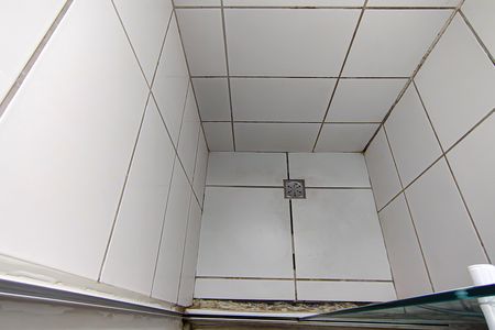 Apartamento à venda com 50m², 2 quartos e 1 vagaBanheiro Social