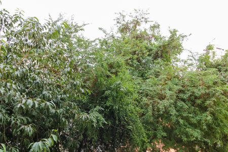 Apartamento à venda com 50m², 2 quartos e 1 vaga Apartamento à venda com 50m², 2 quartos e 1 vagaQuarto 2 Vista