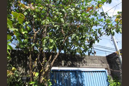 Casa para alugar com 150m², 2 quartos e 2 vagasÁrea comum