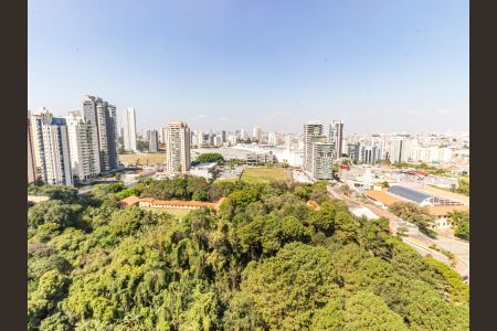 Apartamento à venda com 375m², 4 quartos e 5 vagasSuíte 1 - Vista da Varanda