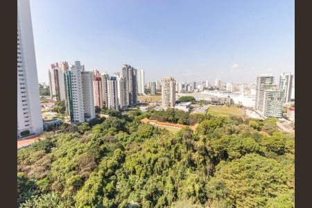 Apartamento à venda com 375m², 4 quartos e 5 vagasSuíte 3 - Vista da Varanda