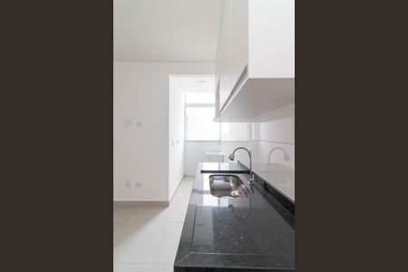 Apartamento para alugar com 45m², 2 quartos e sem vagaCozinha