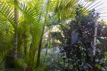 Vista da Sala de casa à venda com 4 quartos, 500m² em Barro Branco (zona Norte), São Paulo