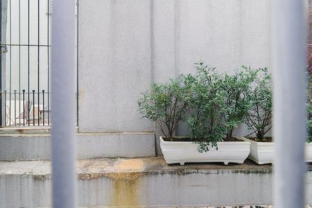 Apartamento para alugar com 46m², 2 quartos e sem vaga Apartamento para alugar com 46m², 2 quartos e sem vagaVista do Quarto 1