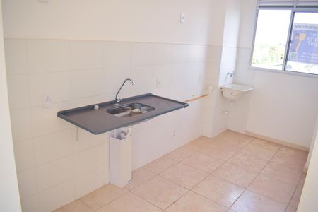 Cozinha de apartamento para alugar com 2 quartos, 43m² em Residencial Parque dos Servidores, Ribeirão Preto