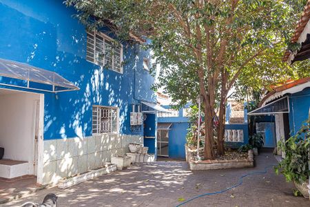 Casa para alugar com 730m², 5 quartos e 6 vagasQuintal 2