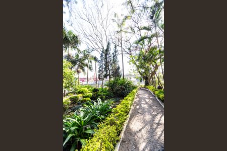 Apartamento para alugar com 55m², 2 quartos e 1 vaga Apartamento para alugar com 55m², 2 quartos e 1 vagaCondomínio