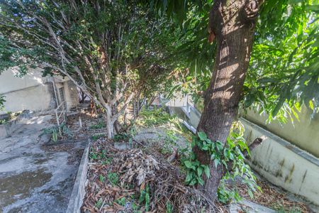 Casa à venda com 351m², 2 quartos e sem vagaÁrea Externa