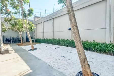Apartamento para alugar com 90m², 3 quartos e 2 vagas Apartamento para alugar com 90m², 3 quartos e 2 vagasÁrea comum
