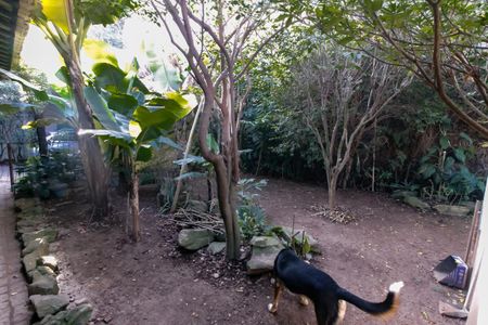 Casa para alugar com 380m², 6 quartos e 6 vagas Casa para alugar com 380m², 6 quartos e 6 vagasQuintal