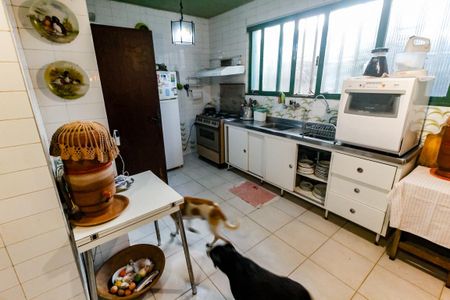 Casa para alugar com 380m², 6 quartos e 6 vagas Casa para alugar com 380m², 6 quartos e 6 vagasCozinha - Armários