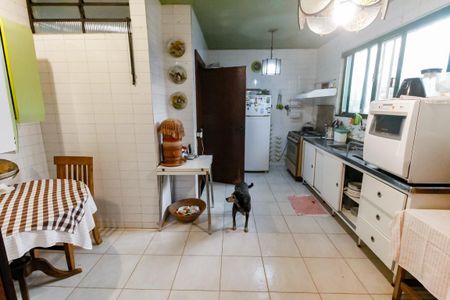 Casa para alugar com 380m², 6 quartos e 6 vagas Casa para alugar com 380m², 6 quartos e 6 vagasCozinha - Armários