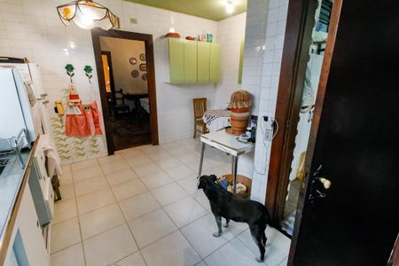 Casa para alugar com 380m², 6 quartos e 6 vagas Casa para alugar com 380m², 6 quartos e 6 vagasCozinha - Armários