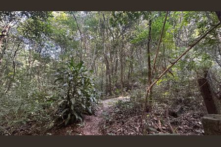 Casa de condomínio à venda com 405m², 6 quartos e 6 vagasTerreno