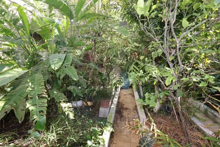 Casa para alugar com 40m², 1 quarto e sem vagaJardim