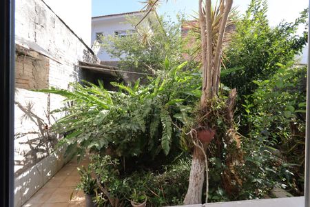 Casa para alugar com 40m², 1 quarto e sem vagaVista do Quarto