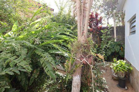 Casa para alugar com 40m², 1 quarto e sem vagaJardim