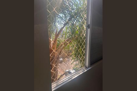 Apartamento à venda com 61m², 3 quartos e 1 vagaFoto 14