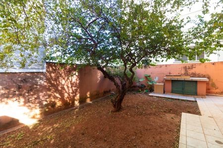 Casa à venda com 257m², 3 quartos e 2 vagas Casa à venda com 257m², 3 quartos e 2 vagasQuintal