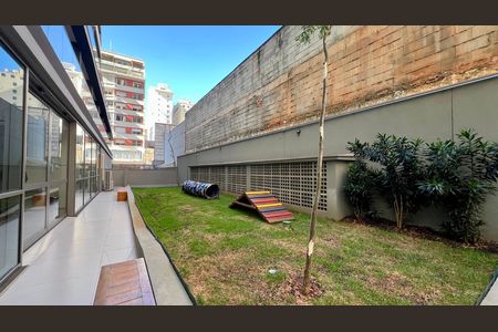 Studio para alugar com 24m², 1 quarto e sem vagaPetplace