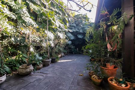 Casa à venda com 239m², 3 quartos e 4 vagas Casa à venda com 239m², 3 quartos e 4 vagasQuintal / Jardim