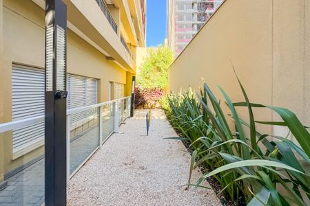 Apartamento para alugar com 32m², 1 quarto e sem vagaEspaço pet