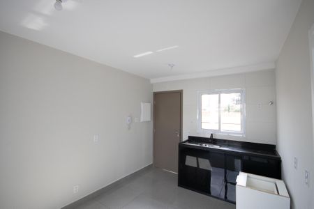 Sala / Cozinha de apartamento para alugar com 1 quarto, 24m² em Vila Nair, São Paulo