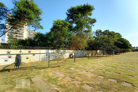 Apartamento para alugar com 50m², 2 quartos e 1 vagaEspaço Pet