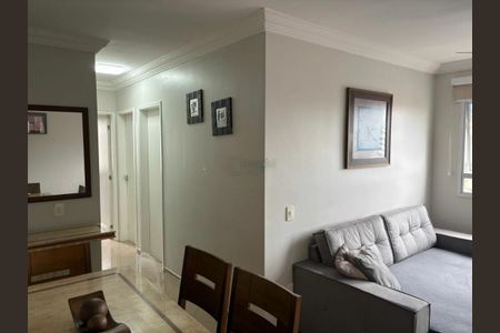 Apartamento à venda com 3 quartos, 67m² em Vila Pierina, São Paulo