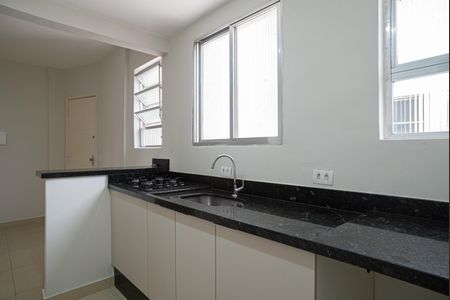 Apartamento para alugar com 48m², 2 quartos e sem vaga Apartamento para alugar com 48m², 2 quartos e sem vagaCozinha