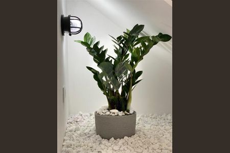 Casa à venda com 120m², 3 quartos e 2 vagas
