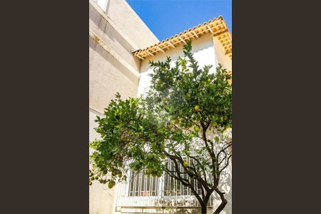 Casa à venda com 292m², 5 quartos e 3 vagas