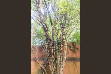 Casa à venda com 500m², 6 quartos e 5 vagasÁrea Externa