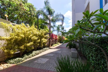 Studio para alugar com 27m², 1 quarto e sem vagaÁrea comum - Área Verde