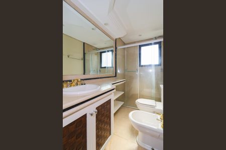 Apartamento para alugar com 373m², 5 quartos e 5 vagas Apartamento para alugar com 373m², 5 quartos e 5 vagasBanheiro 2 da Suíte Master