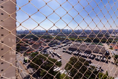 Vista da Varanda do Quarto 3 de apartamento para alugar com 2 quartos, 62m² em Socorro, São Paulo
