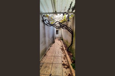 Casa para alugar com 125m², 4 quartos e 2 vagasQuintal