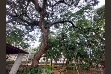 Apartamento à venda com 58m², 2 quartos e 2 vagasÁrea comum