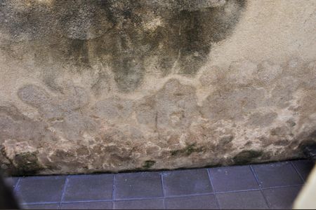 Casa à venda com 155m², 3 quartos e 2 vagas Casa à venda com 155m², 3 quartos e 2 vagasVista do Quarto 02