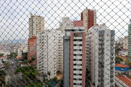 Apartamento à venda com 265m², 3 quartos e 3 vagasVista da Varanda