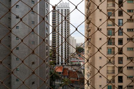 Apartamento à venda com 265m², 3 quartos e 3 vagasVista da suíte 1