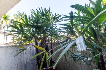 Casa de condomínio à venda com 620m², 5 quartos e 6 vagasVista da Varanda da Suíte 2