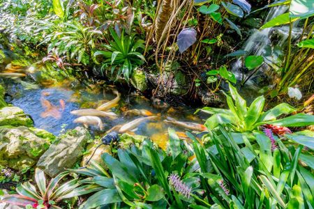 Casa à venda com 572m², 5 quartos e 5 vagas