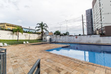 Apartamento para alugar com 48m², 2 quartos e 1 vaga Apartamento para alugar com 48m², 2 quartos e 1 vagaPiscina